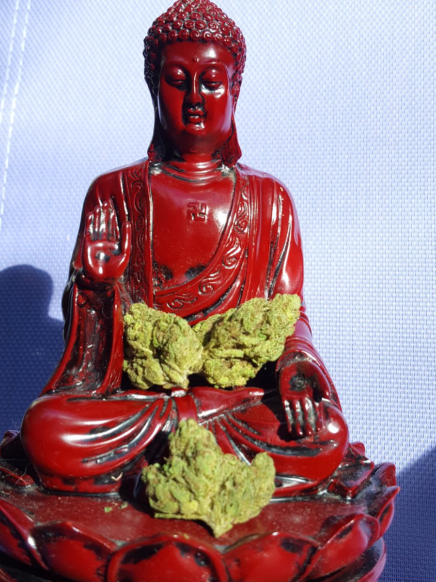 gendashwhy's tweet photo. @CANNiLIVE @NaturesCannabis @ArmyOfPotheads @EmeraldZoo @4Rare420_Rx @Hippie_of_Love @_jena4n @cannaworldsite @EveOfNite @RCColaKing @afterdarkmusic @NorCalStoner420 en·the·o·gen
enˈthēəˌjen,-jən/
noun
a chemical substance, typically of plant origin, that is ingested to produce a nonordinary state of consciousness for religious or spiritual purposes.
#potheals
Spirit + ritual =#spiritual
#PeaceCore https://t.co/fScuvSvVQB