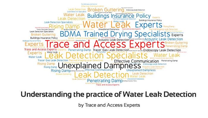 TraceAccessExp's tweet image. #LinkedIn Article: Understanding the practice of Water Leak Detection by Trace and Access Experts buff.ly/2oyYNlu | #TraceAndAccess #LeakDetctionSpecialists