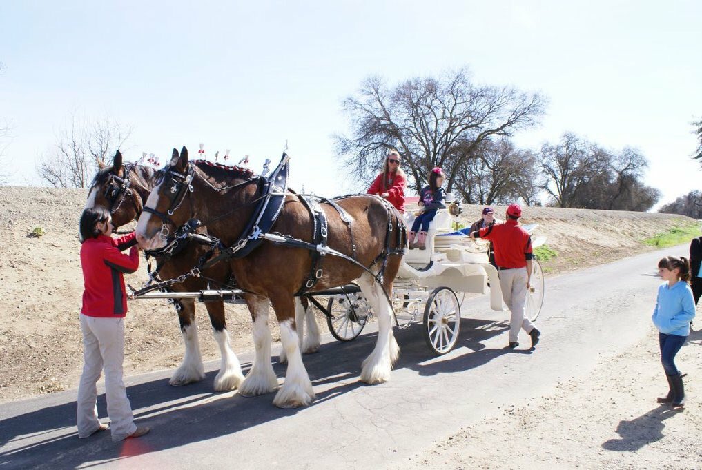LindaBMumma's tweet image. 100 year old birthday boy Clifford Kirby of #Tracy arriving to his big birthday party in style over the weekend! #thatwave #localcelebrity #heskindofabigdeal 
(📸 Courtesy: Lorie Thompson)
