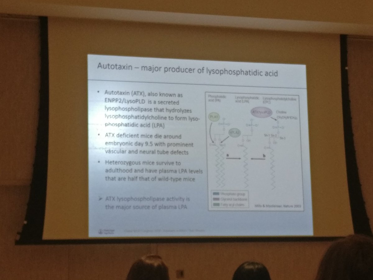 Autotaxin and NASH #NASHCONGRESS