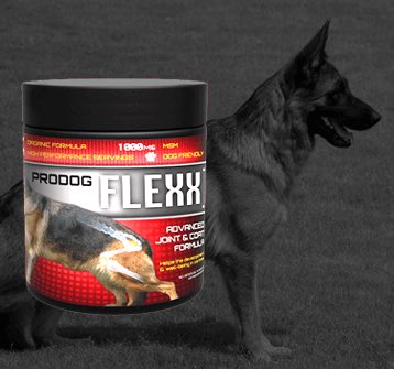 prodognutrition's tweet photo. 💥 Flexx Special Offer 💥

Want to receive 25% off your order of Flexx? Use code FLX25 at checkout! Valid until end of February - there’s still time! 

https://t.co/0PC6LhflZw #dognutrition https://t.co/tAXwwP9UU5