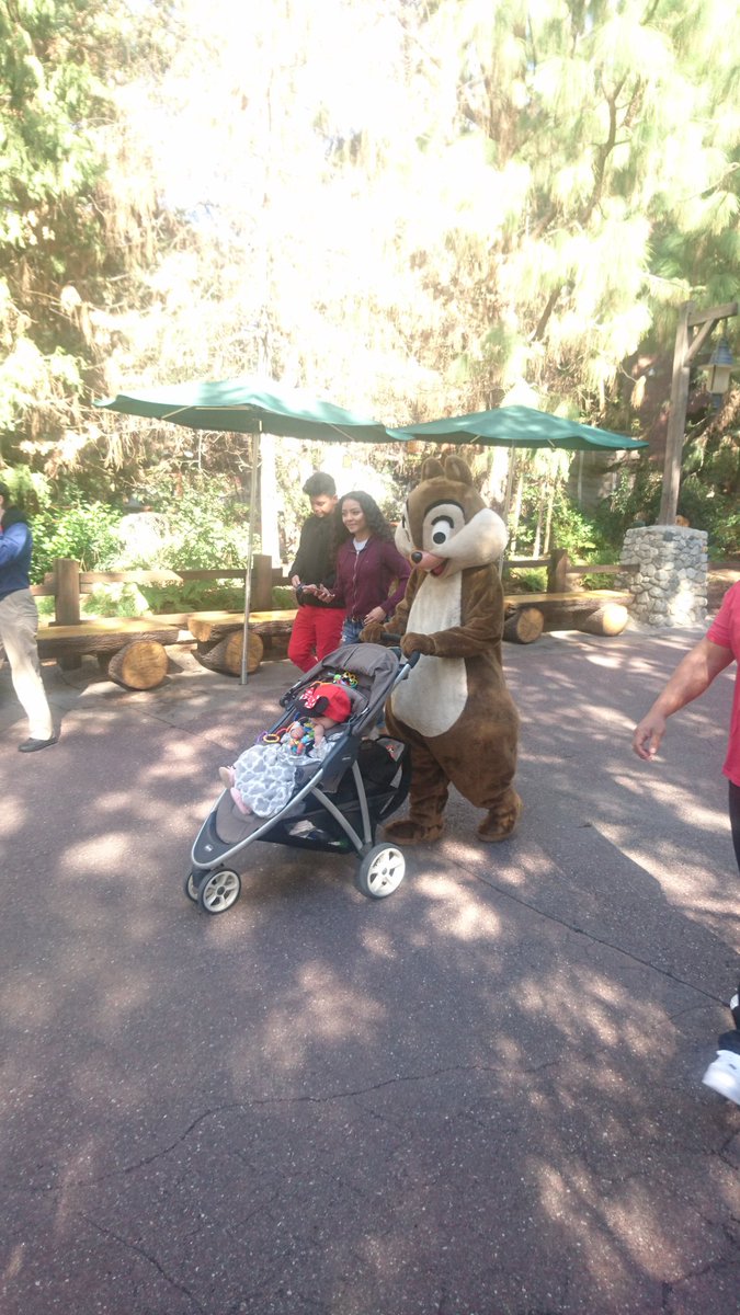 参照する 間欠 特権 ディズニーランド ベビーカー 目印 有名な 寄稿者 一般的な