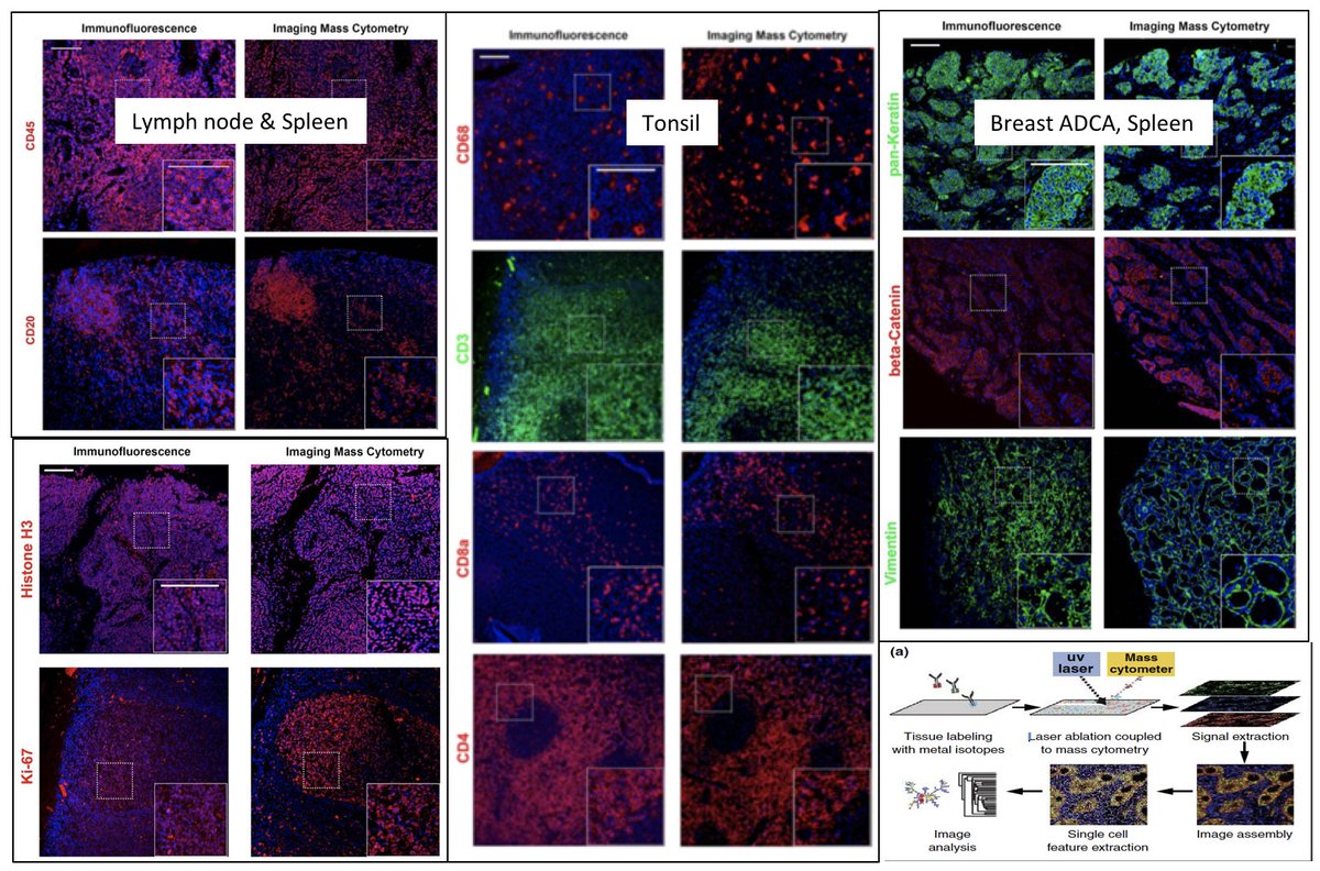 download Bacterial Metabolism