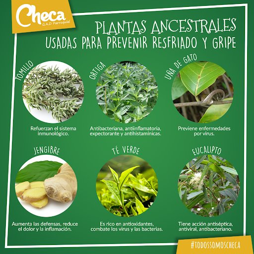 GAD Parroquial Checa tweet media