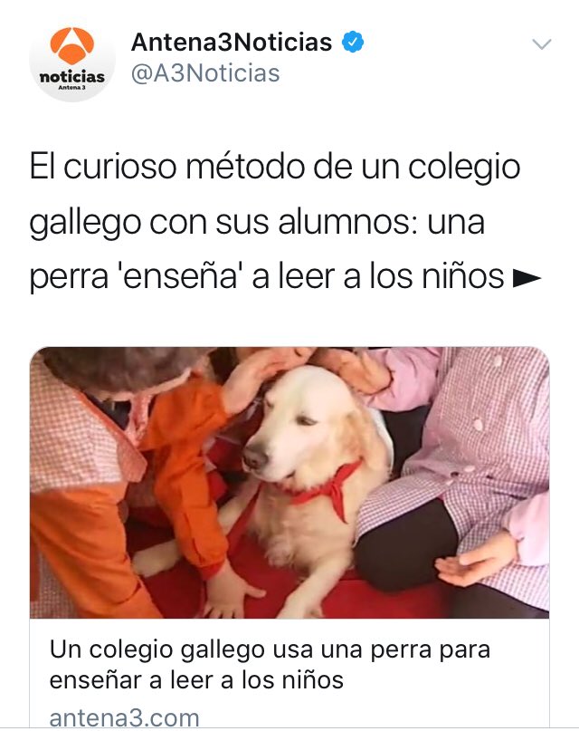 maestradepueblo's tweet photo. “Si ellos se equivocan en la lectura, Nora levanta una pata” https://t.co/mzD4xHIIZB