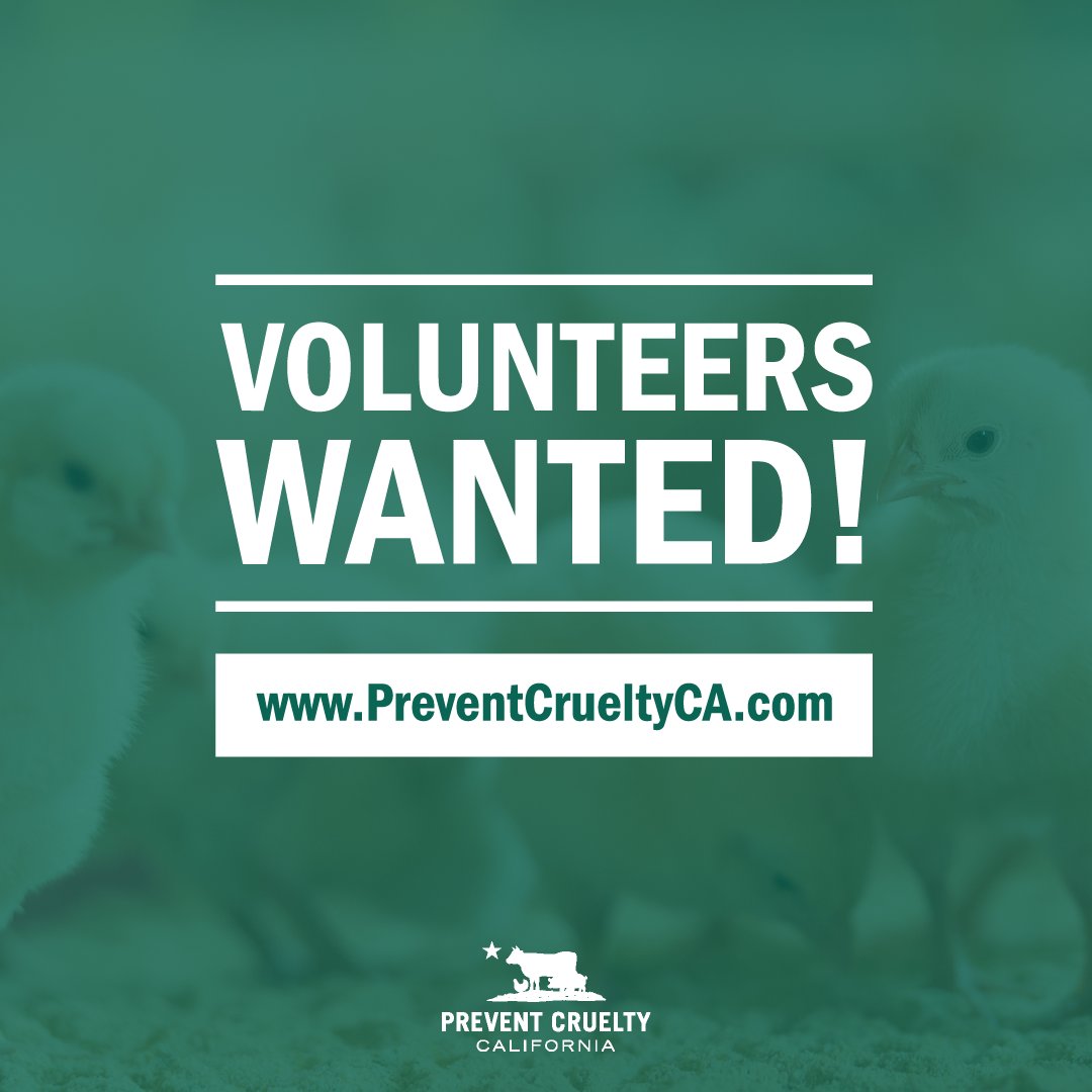 YOU COULD MAKE HISTORY IN CALIFORNIA! Help our growing coalition get farm animal protection on the 2018 ballot—and eliminate the use of cruel cages and crates for good. Here's how you can help: preventcrueltyca.com/volunteer