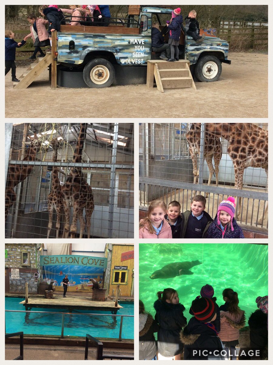 SVMrsB's tweet photo. Fantastic day @KnowsleySafari 🦇🐌🦉🦅🦒🐪 https://t.co/Un0YvFpFDX