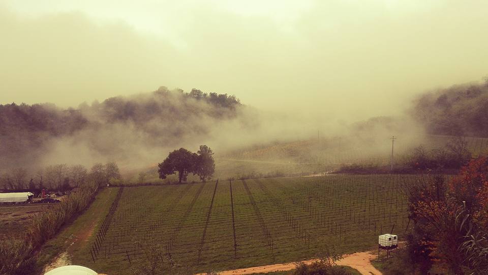 MUERFood tweet media