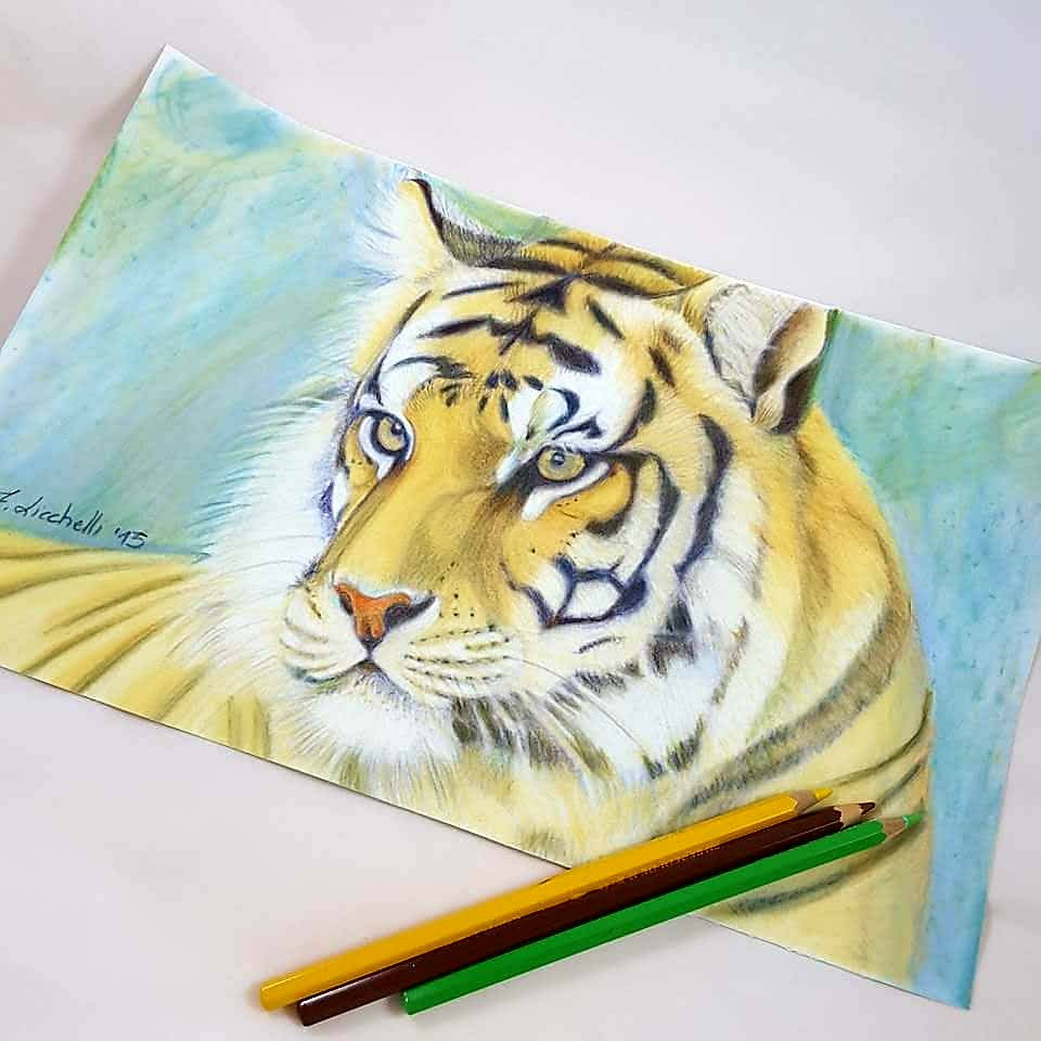 Disegno Ritratto di tigre matite colorate idea regalo per prima unione decorazione parete cameretta ragazzi bambini