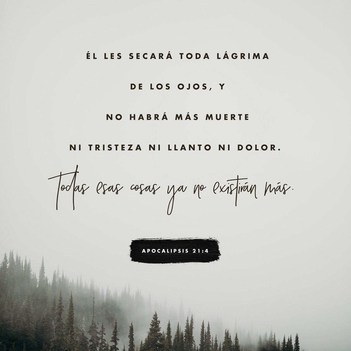 YouVersion_ES's tweet image. 📖 “Enjugará Dios toda lágrima de los ojos de ellos; y ya no habrá muerte, ni habrá más llanto, ni clamor, ni dolor; porque las primeras cosas pasaron.”
&amp;lt;&amp;lt;Apocalipsis 21:4 RVR1960&amp;gt;&amp;gt;

🔗 bible.com/149/rev.21.4.r…

#youversion_es #versiculodeldia #youversion