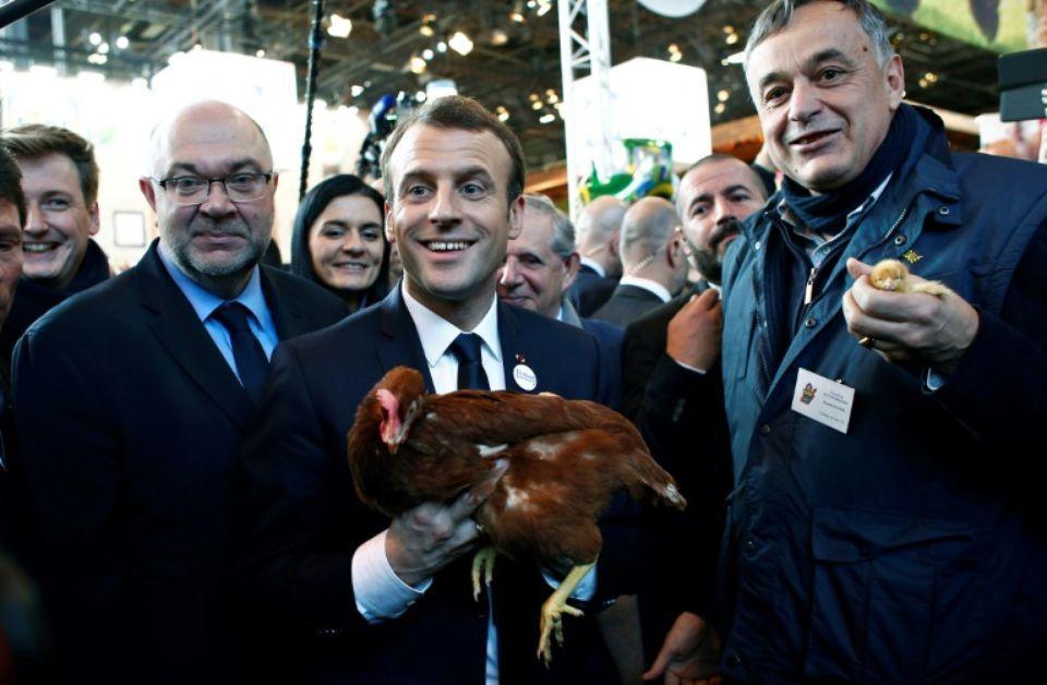 CheckNewsfr's tweet photo. «L’inconnu» qui a offert une poule à Macron est-il le patron de Loué et soutient-il le Président ? https://t.co/5UhqrPYHTA https://t.co/gMnBzOK47y