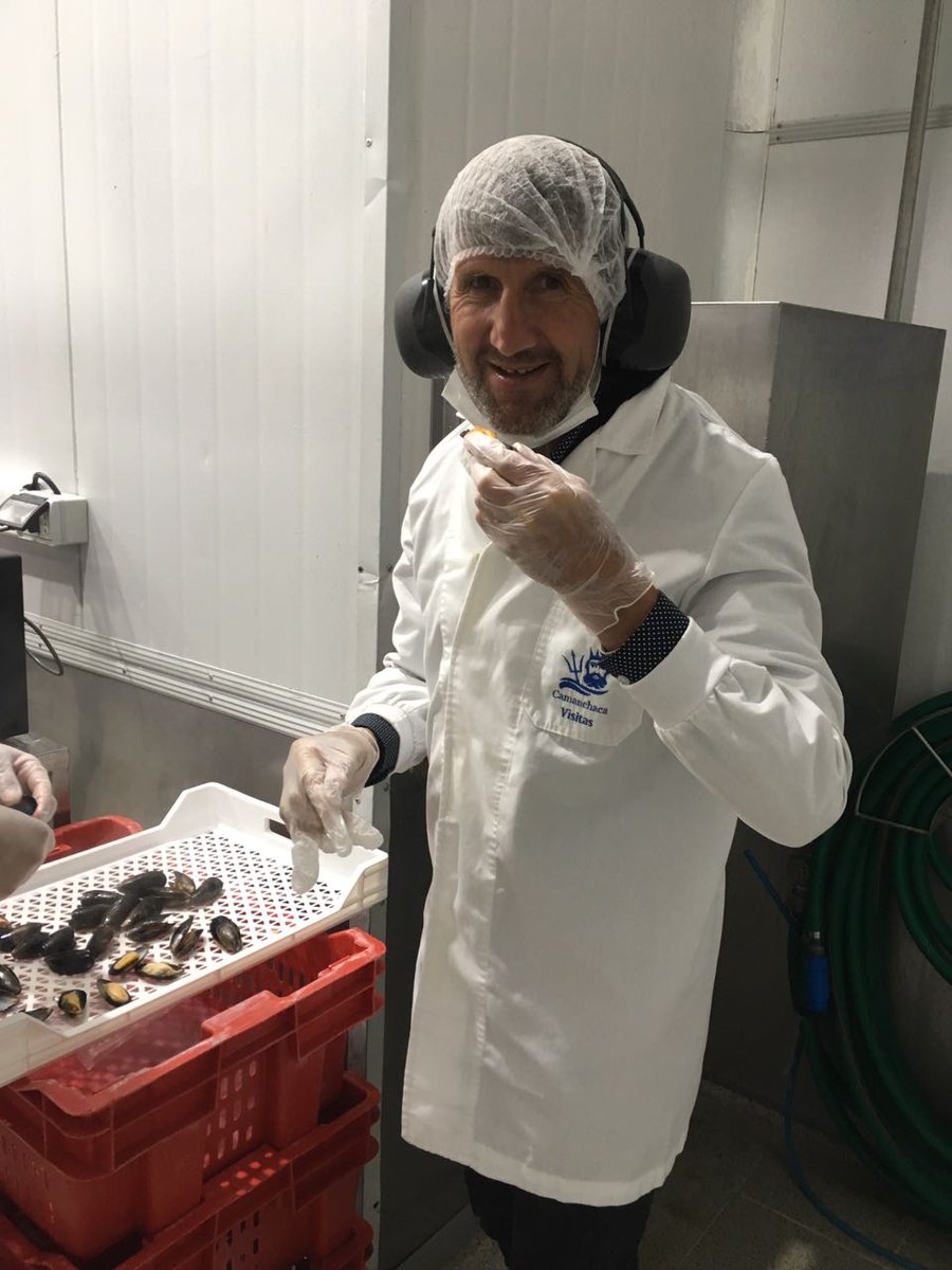 Daniel Moron tweet media