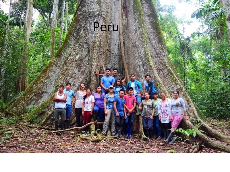 Pilot_Projects's tweet photo. How can world-leading cities help reverse tropical #deforestation? Can global youth participate? We'll present your best ideas @ #forestcityproject #InternationalForestDay #cites4forests #futureforestwork @TheWCS @ConservationOrg @restoreforward @WRIRossCities @NYCSustainable https://t.co/94z7AuME3n