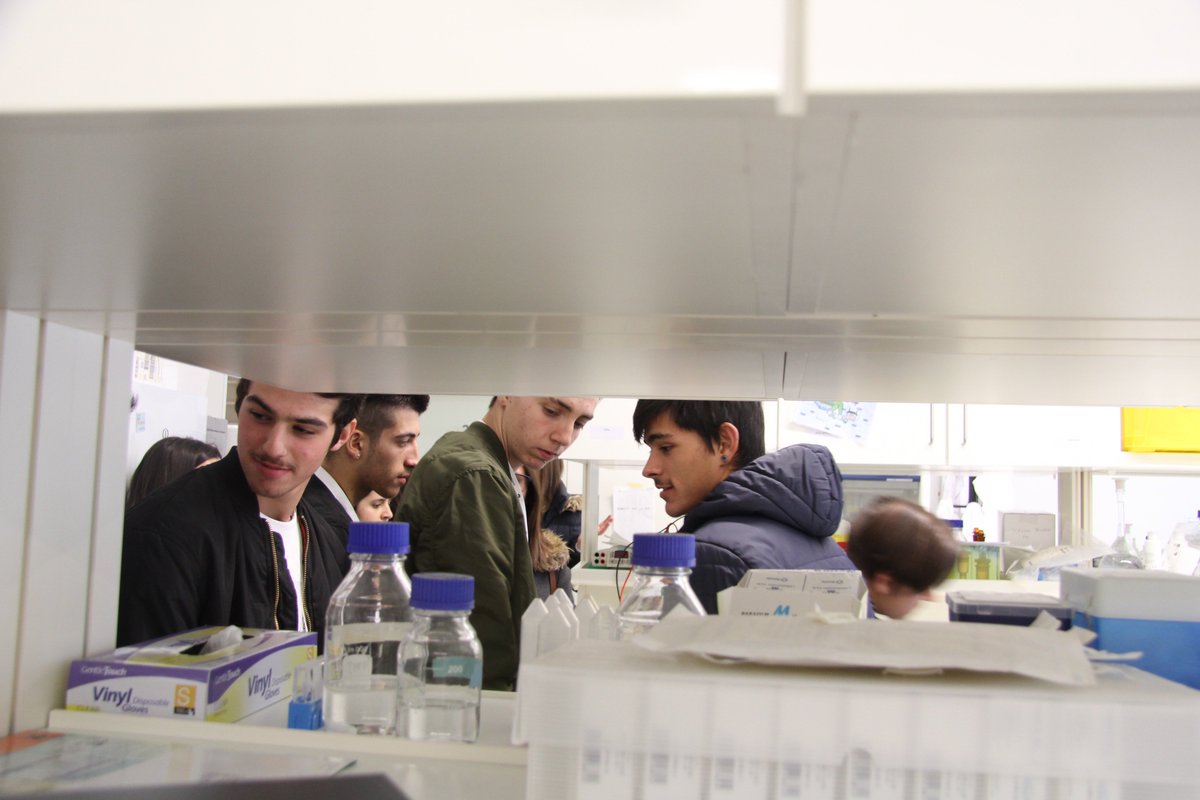 On Feb19 & 26 the Addiction Biology lab welcomed a few at-risk kids, w/in the project CRIArt, a collab between Sta Casa Marco de Canaveses & Assoc.Resposta Terapêutica. Visitors learned what happens to adolescent brains on drug use & saw the inside of a research lab.
#i3Sedu