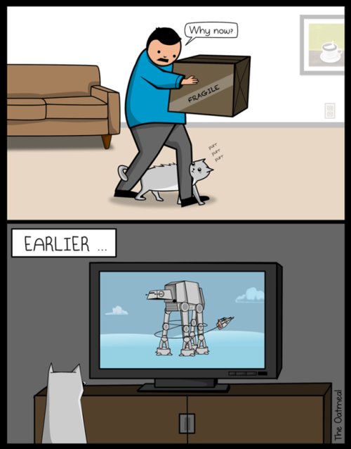 Funny Memes on X: "Cats must love Star Wars #lol #memes #dankmemes #funny # meme https://t.co/UmBEkwZVd9" / X