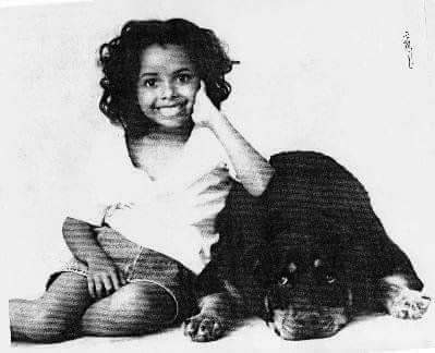 meonkai's tweet photo. 💜👑 I nominate @KatGraham  as Bonnie Bennett from @cwtvd  for Favorite female  TV Actress 
#KCA2018 @KCANominees https://t.co/Oh7L8MtUos