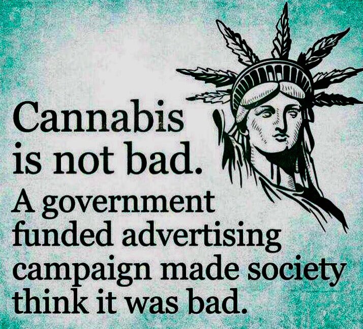 NorCalStoner420's tweet photo. Don’t Buy Into the Anti #Cannabis Propoganda!!... https://t.co/xKEuGXmFgm