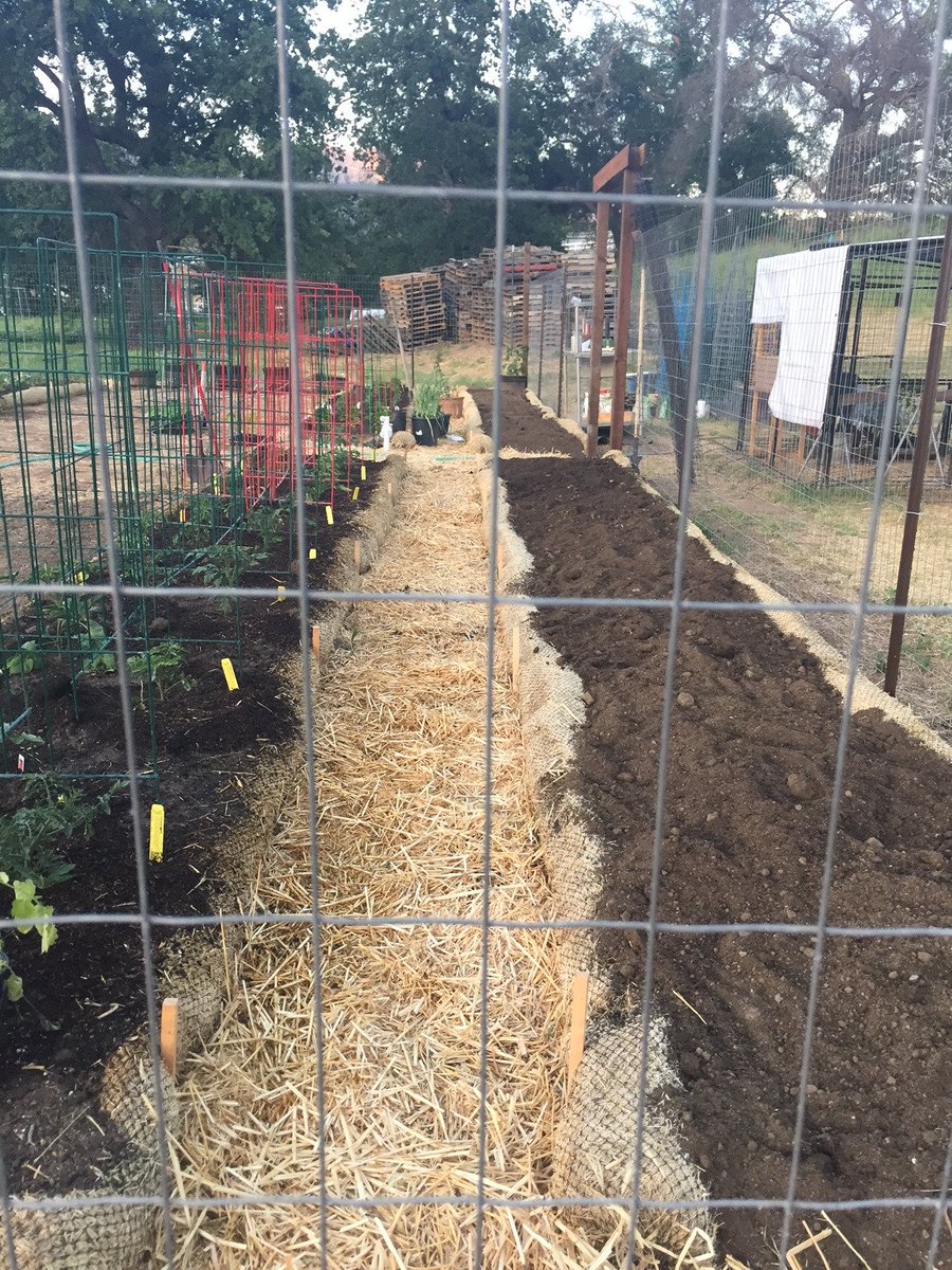 Thinking tomatoes of course...counting the days. Check out facebook.com/search/top/?q=…