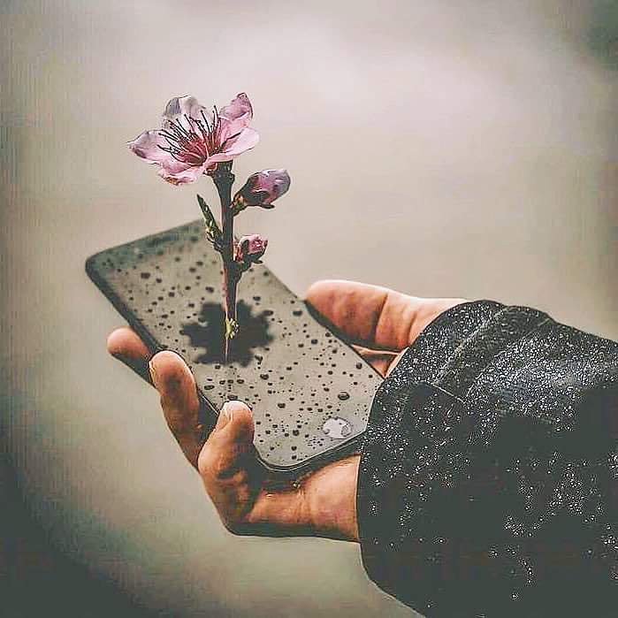 الطيور تأكل النمل ، وإذا ماتت فإن النمل يأكلها .. الظروف قد تتغير : “فلا تقلل من شأن أحد”