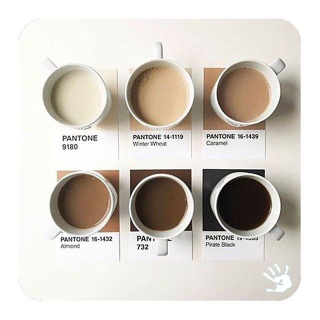 CrisZepeda's tweet image. ¡Los sábados también se trabaja... pero en elegir el Pantone adecuado para tu cafe! Amo el sábado! ❤️☕️ #lovesaturdays #lovecoffee #amoelcafe #cafe #coffee #yaesSábado  #Sábado #saturday #friends #amigos