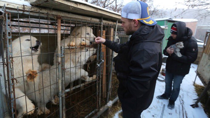 Animals1st's tweet photo. 'This isn't culture - this is animal cruelty': Olympic skier speaks out after visit to South Korean dog meat farm

https://t.co/Q7SD1Wj1uI https://t.co/8tFN4ML5CS