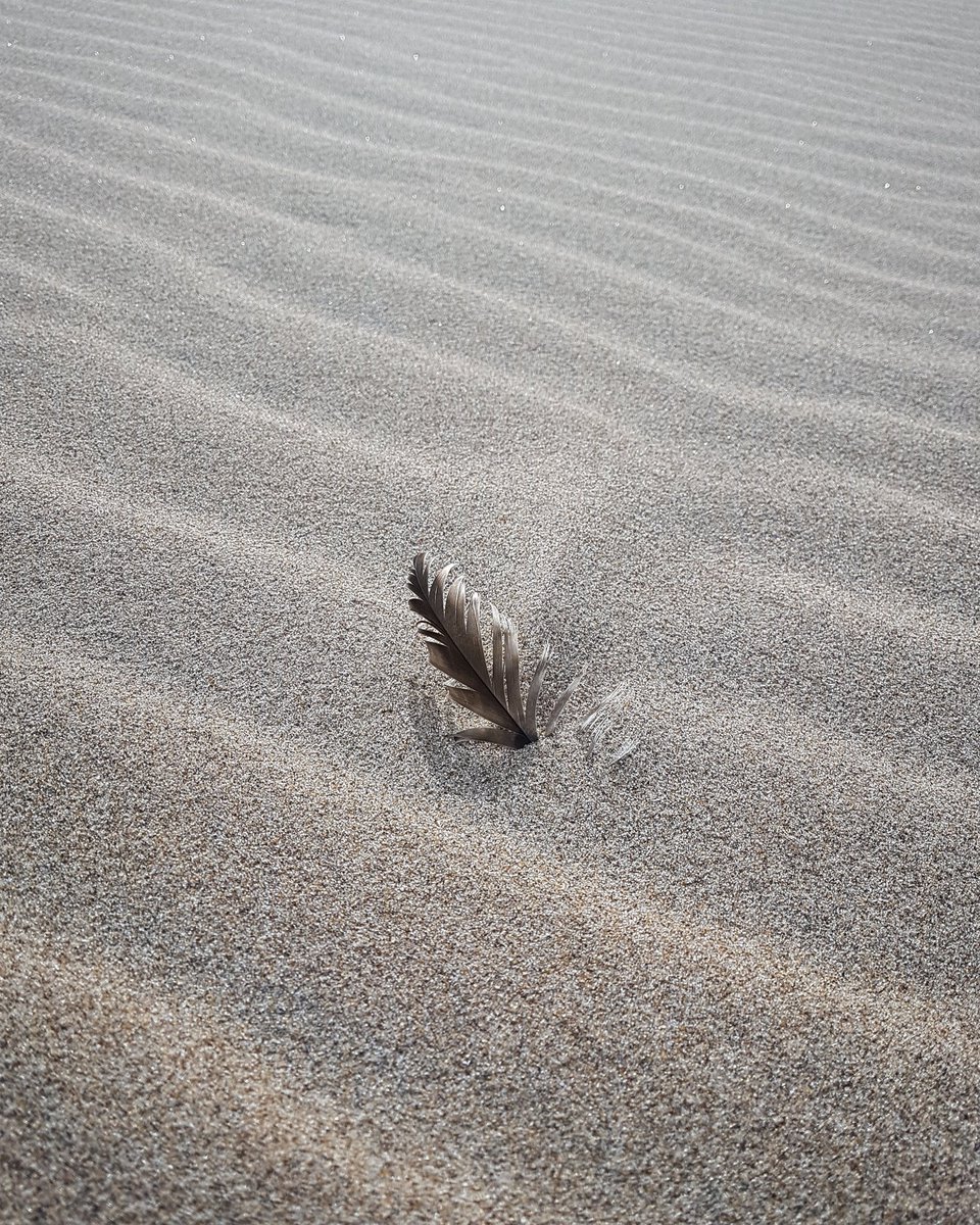 Natas__cha's tweet photo. Was trouwens wel stom dat ik mijn camera vergat mee te nemen naar het strand.
Maar gelukkig maakt mijn foon ook mooie foto's.
#Samsung #edge7 https://t.co/9cZrpGcgV4