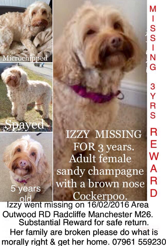 Mollie the Pug tweet media