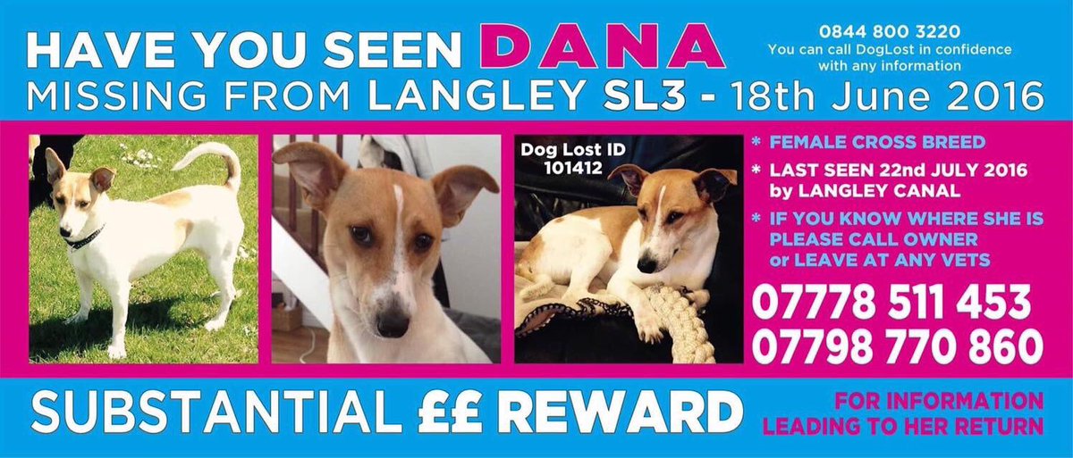 Mollie the Pug tweet media