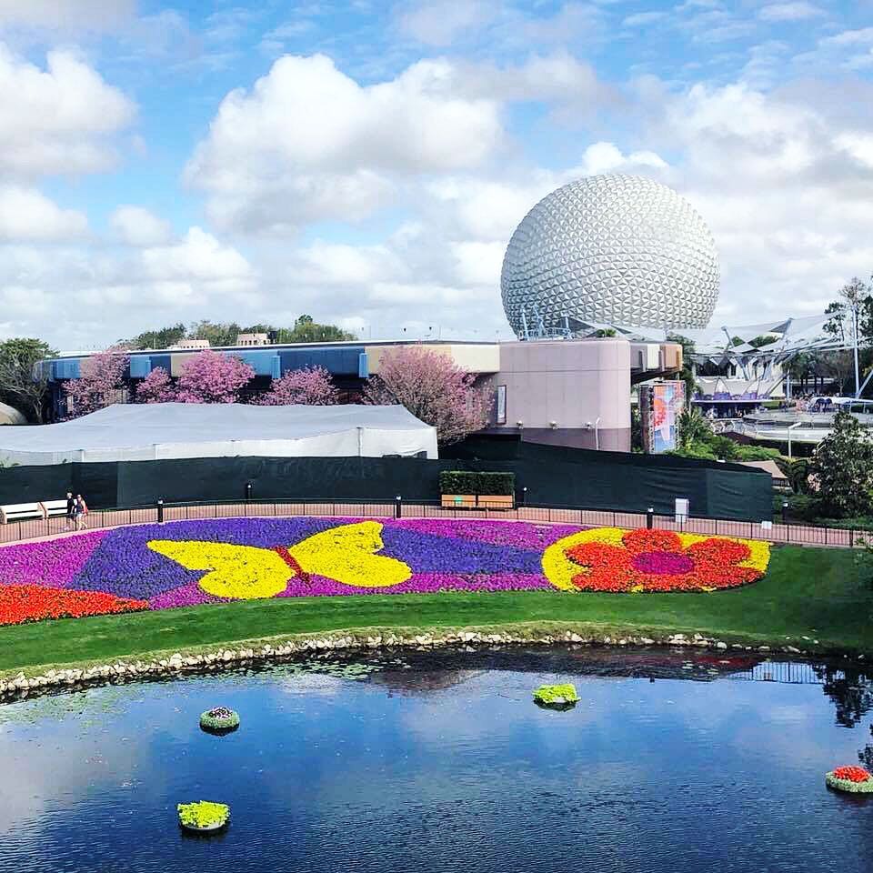 girlpower2cure's tweet photo. YOU GUYS!!! 😱#EPCOT decorated with OUR FLOWER! Go #teamgp2c go! Happy 10th Anniversary to @runDisney's #DisneyPrincessHalfMarathon - it’s been such an amazing year so far, more to come! ❤️🌼🌸❤️ 📸 Alexis Austin
#GP2C #princesshalf #princesshalfmarathon #princesshalf2018 https://t.co/8jU4RzQIsT