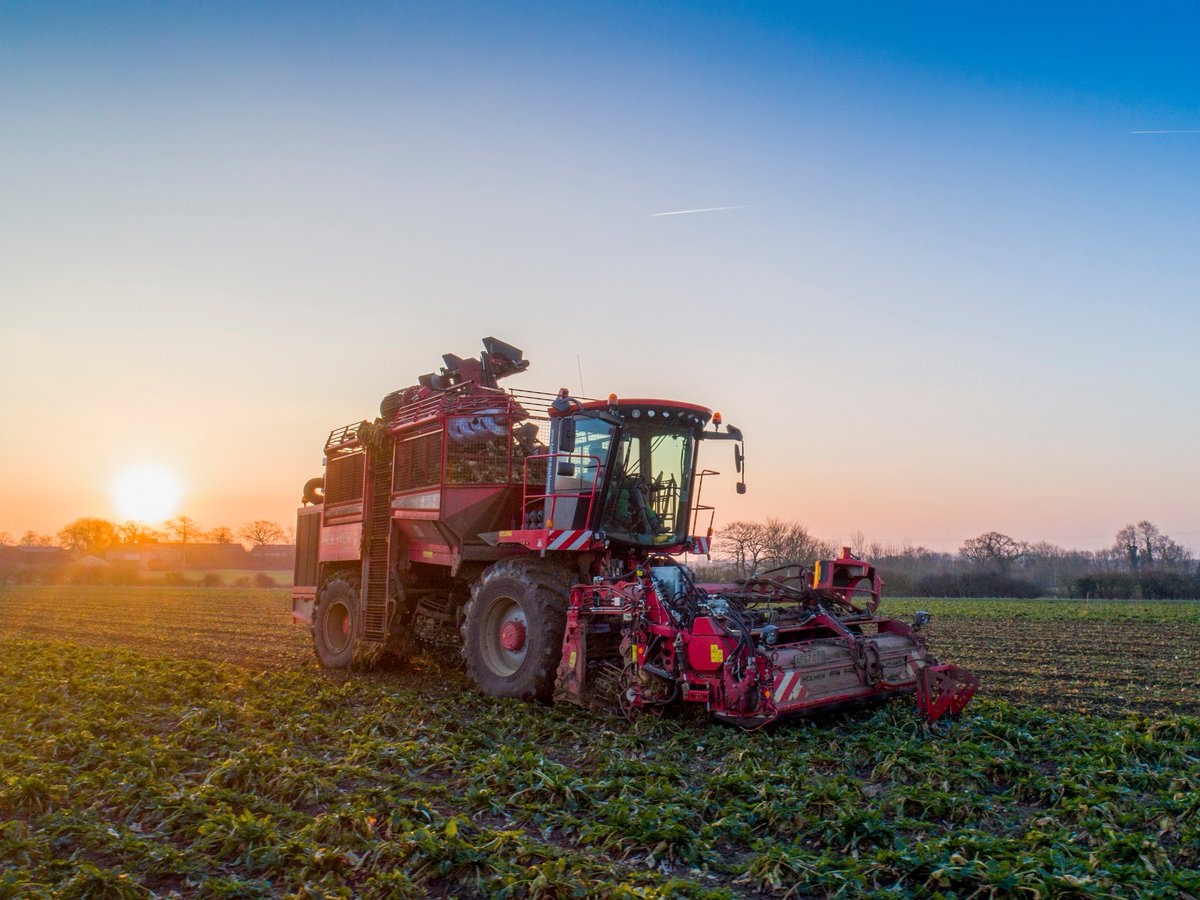 UK AerialPhotography (@ukaerialphotos) on Twitter photo Sugarbeet 2018 is complete! What a morning to finish on too! <a href="/BritishSugar/">British Sugar</a> <a href="/Agrifac/">Agrifac Machinery BV</a> #frosty #morning #suffolk #sunrise #aerialphotography #sugarbeet #earlystart Sugarbeet 2018 is complete! What a morning to finish on too! <a href="/BritishSugar/">British Sugar</a> <a href="/Agrifac/">Agrifac Machinery BV</a> #frosty #morning #suffolk #sunrise #aerialphotography #sugarbeet #earlystart