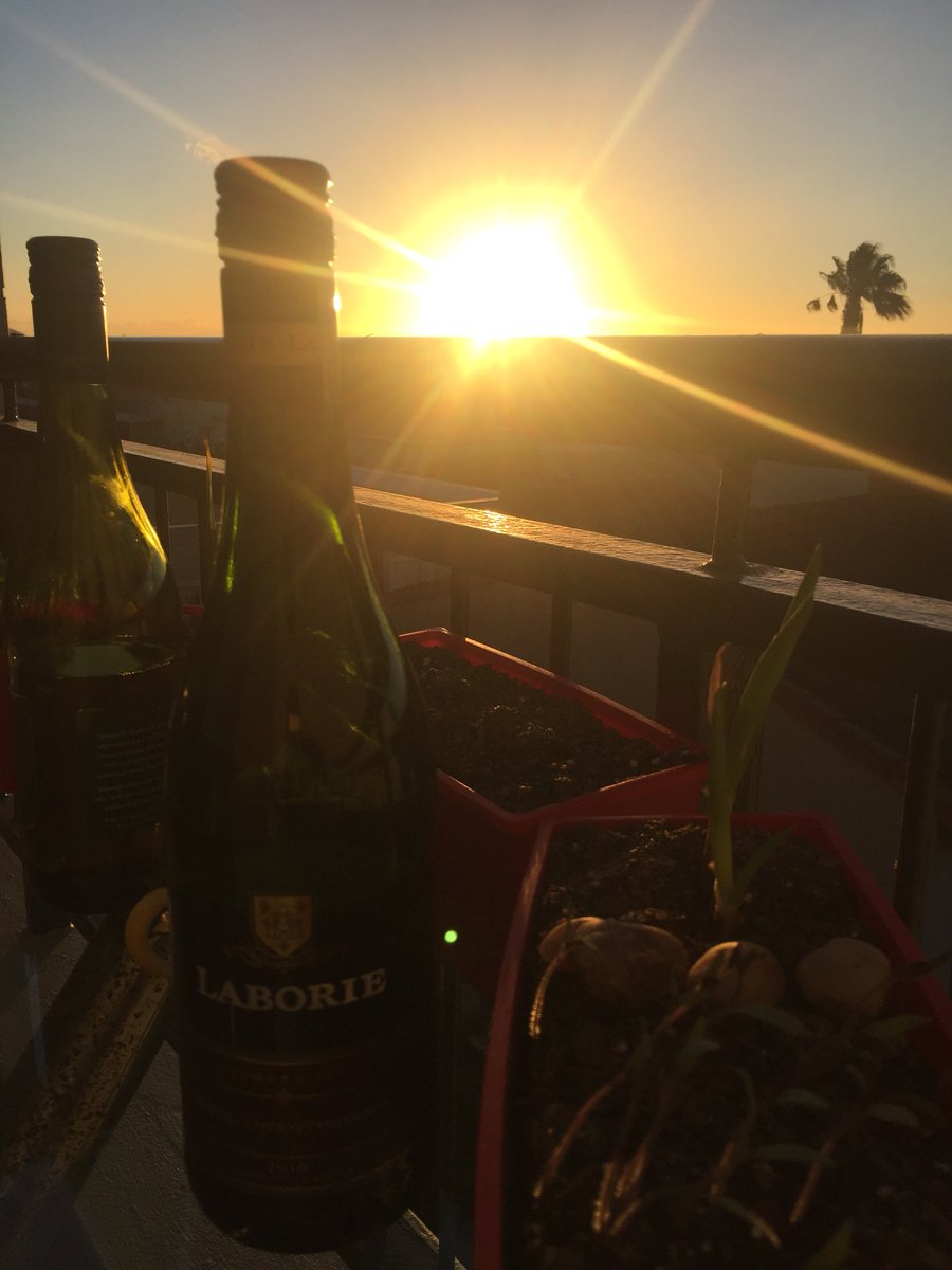 Damn you Saturday night!