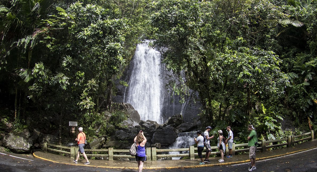 ElYunqueNF's tweet photo. La Coca Falls, #ElYunqueNF, over time. The photo on the left was taken on Feb. 13, 2018. The photo on the top right was taken in May 2016. The photo on the bottom right was taken two weeks after Hurricane Maria hit in Oct. 2017. (Photos on the right courtesy of Jerry Bauer, IITF) https://t.co/abUkWd8x9y