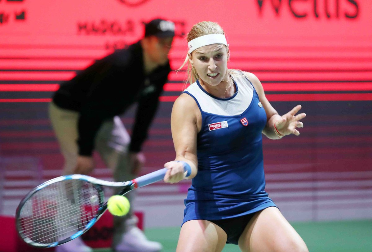 DOMINIKA CIBULKOVA - Página 11 DW0VbPAXcAAoPo1