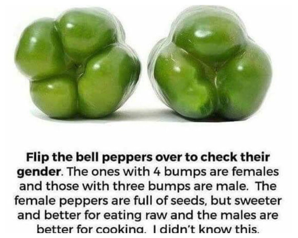 denise_boutte's tweet photo. Had NO Idea π€·πΎββοΈ Learn something new every day. Even the simple stuff. Yaβll knew this?!?! βΊοΈ XoXo-DBβ #WeezianaGirl #CulinaryConnoisseur #Writing #CookbookChronicles https://t.co/MYpc3GM5yD