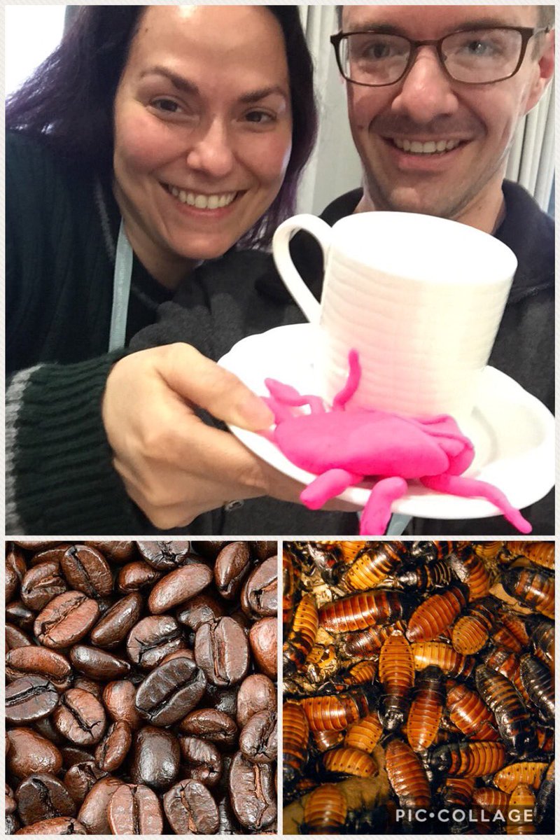 Christine Franzese, MD, FAAOA tweet media