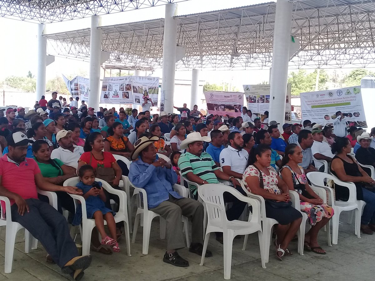 MC_Axel_Meza's tweet photo. Feria SAN @PESA_Oax 2017. Los beneficiarios de las regiones Zacatepec y Pinotepa presentes. Intercambio de experiencias, exposición de productos, presentación de resultados y convivencia entre comunidades motivan la producción de alimentos y la generación de ingresos. https://t.co/zQQgbMbC1L