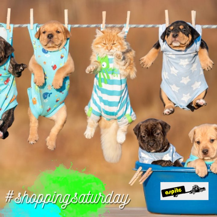 Aspite Auto Auction (AspiteAuctions) Twitter