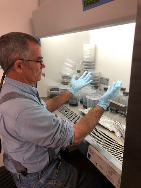 Classes_FTBG's tweet photo. Fairchild class this morning - From Fairchild’s Orchid Lab to Your Garden – students learning in the MicroPropagation Lab today with Dr. Jason Downing and Jay Arce https://t.co/8FDvQpDISQ