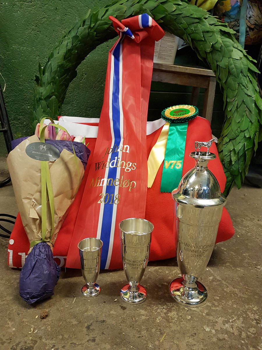 Sykt stolt av meg og teamet mitt! Stall Aarlie 💪🥇🏆 Patrimony vinner Widding