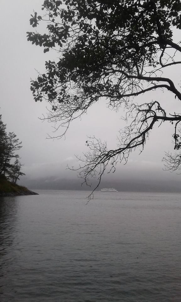 grahamhroberts's tweet image. #BCFerries