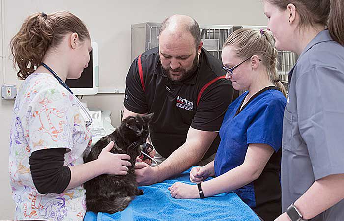 NorfolkNews's tweet photo. The students apply their textbook knowledge to hands-on lab work. One student says it gives her that "ah-ha" moment. @northeastedu
#vettechprogram

READ: https://t.co/mVtEKY1S2Y

WATCH: https://t.co/I55QPD0zFi https://t.co/qdw2dxK2AD