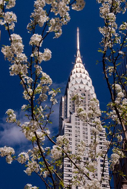 maisonnumen's tweet photo. Springtime in New York - we’ve always loved the Art Deco style of the architecture in this amazing city. https://t.co/v2AwLJZDbd
