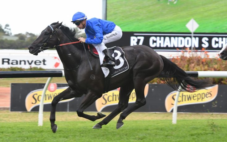 Well done <a href="/godolphin/">Godolphin</a>, <a href="/JamesCummings88/">James A. Cummings</a> with #Kementari - two weeks ago a Group 3, this week a Group 2, way to glide through the gears!!  #goldnerstransported