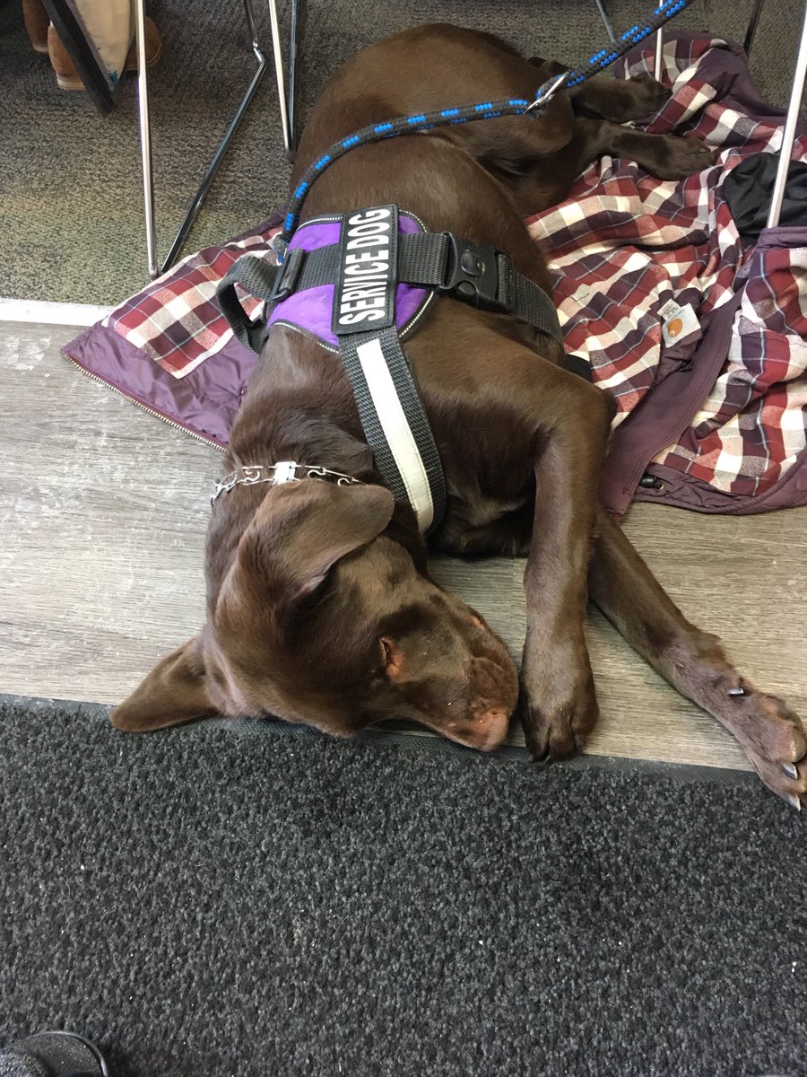 All ladies are welcome especially if you wear purple! <a href="/Bozeman500women/">500Women Bozeman</a>