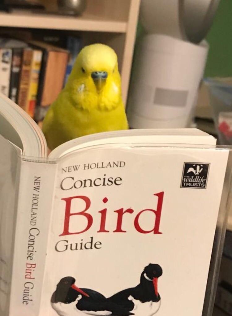 KrumLibrary's tweet image. Know thyself. What are YOU reading this weekend? #books #librarybooks #librarylife #librarybird