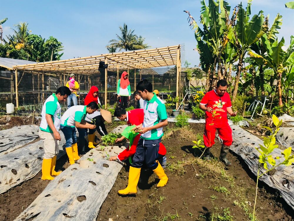 bwangiberkebun's tweet photo. Persiapan kita hari inii... Yuk ikutan berkebun biar pagi kalian bermanfat
#TanamSerentakIDB
 @AzwarAnas_A3 @IDberkebun @banyuwangi_kab https://t.co/XIoqO1w72e