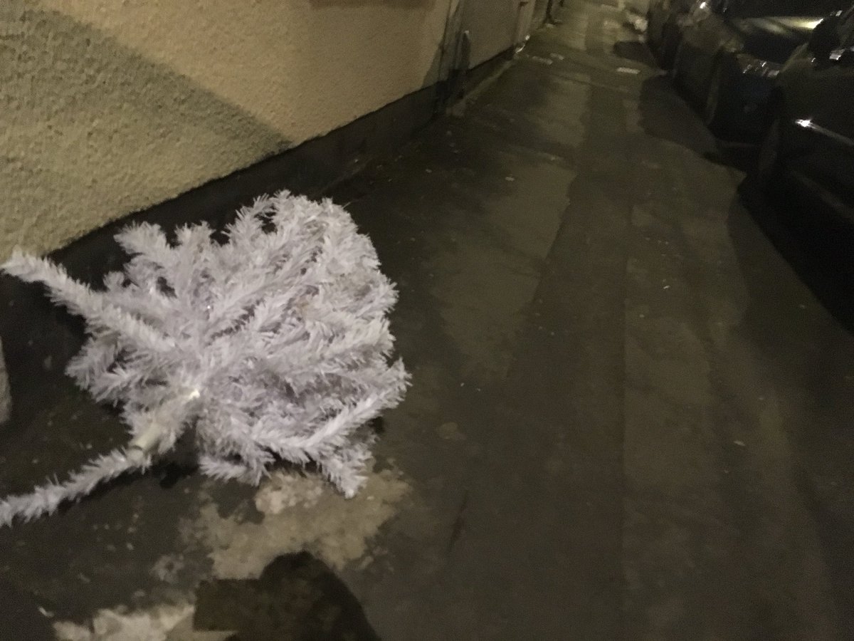 TristanCorkPost's tweet photo. The competition to leave a Christmas tree uncollected on a Bristol street the longest after Christmas (sponsored by @BristolWaste ) just got serious, although thereโs some suspicion of artificial enhancement of this new entry. #Bedminster #BS3FTW #Bemmie https://t.co/KrbOLadAW4