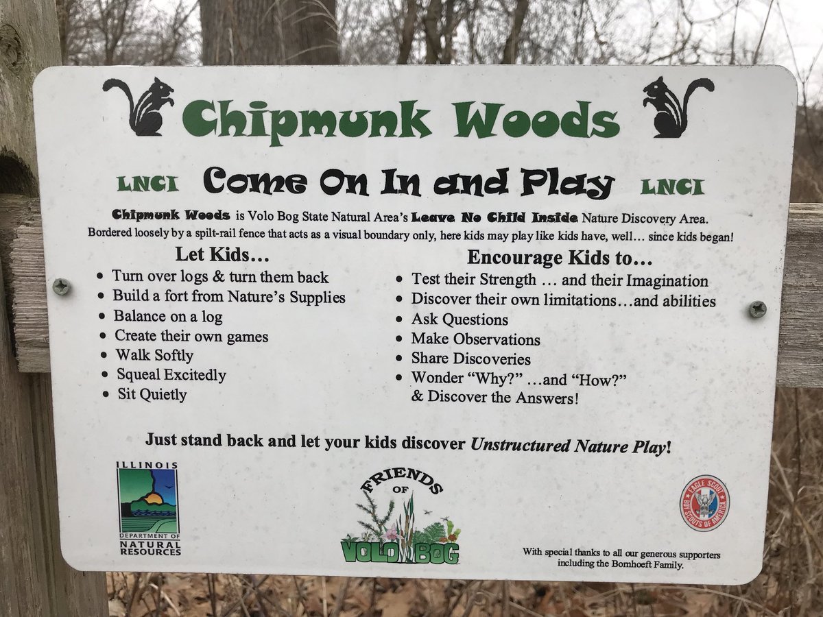 carmelhealth's tweet image. Love this. Out in nature exploring Volo Bog. #play #MoveYourDNA #nutritiousmovement