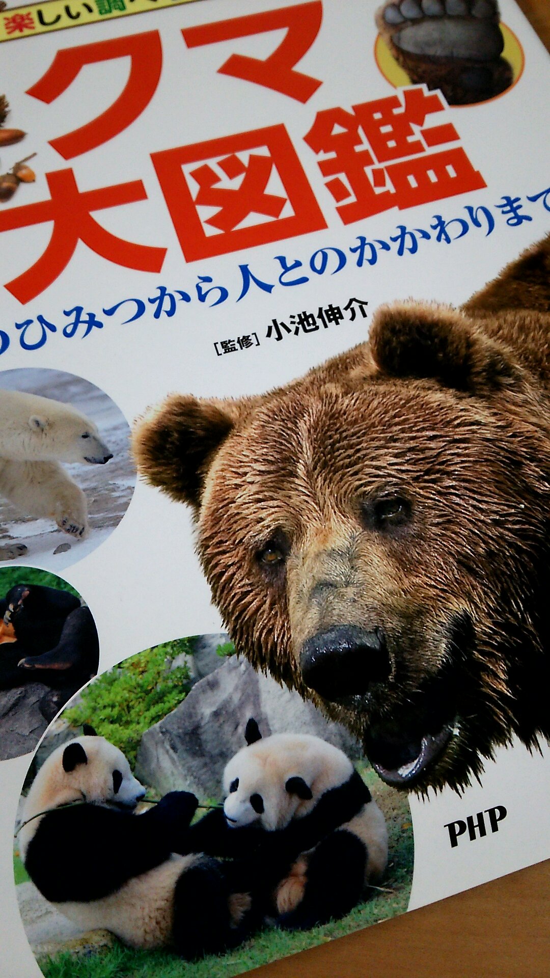 クマ大図鑑 Twitter Search Twitter