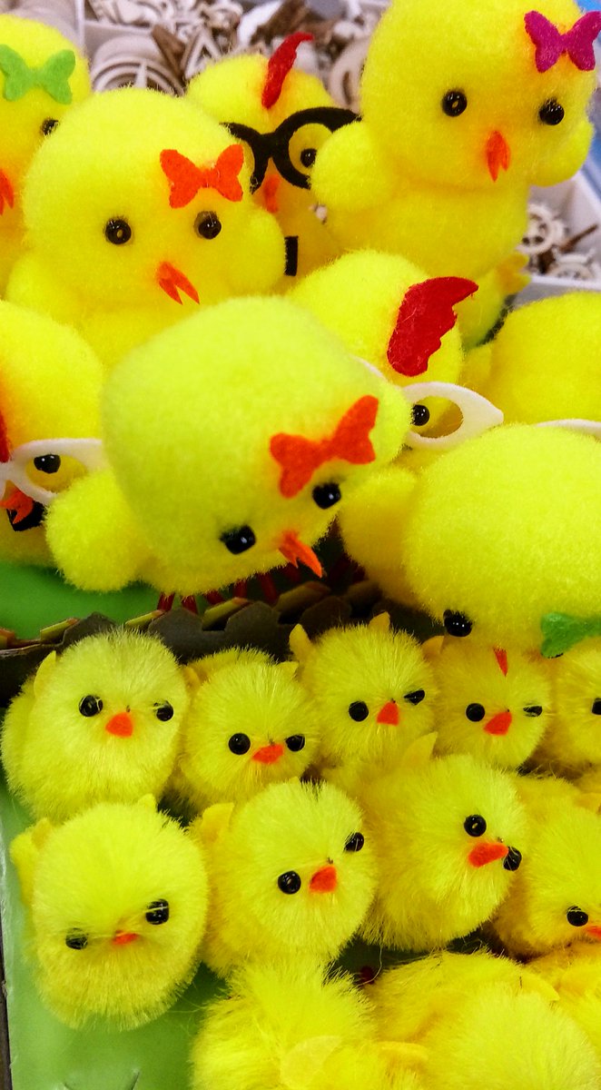 Easter chicks, great for the Easter bonnet parade.I'm sure young ones would have a ball with these little fellows.<a href="/Xav_Anderson/">Xav Anderson - Clockwork City</a> @WarksTN <a href="/katzdancewear/">Katz Dancewear</a> @JoCo_Interiors <a href="/StPaulsSchNun/">St Paul's Primary, Nuneaton</a> <a href="/StockPrim/">Stockingford Academy</a> #Easter #furry #yellow #Nuneaton #Midlands